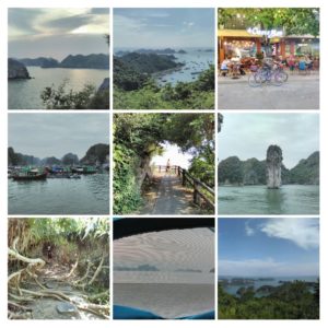 20161016_234319-collage