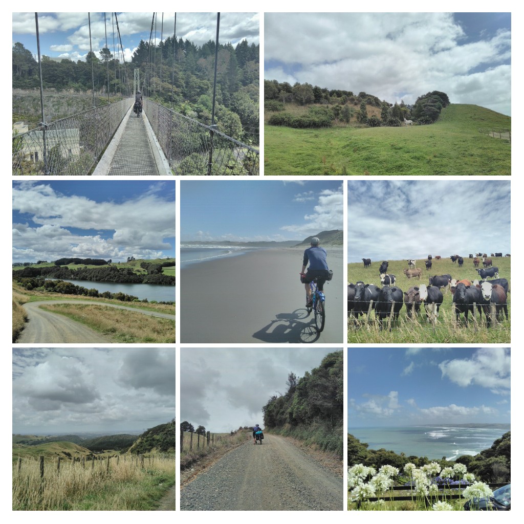 20170126_220704-COLLAGE