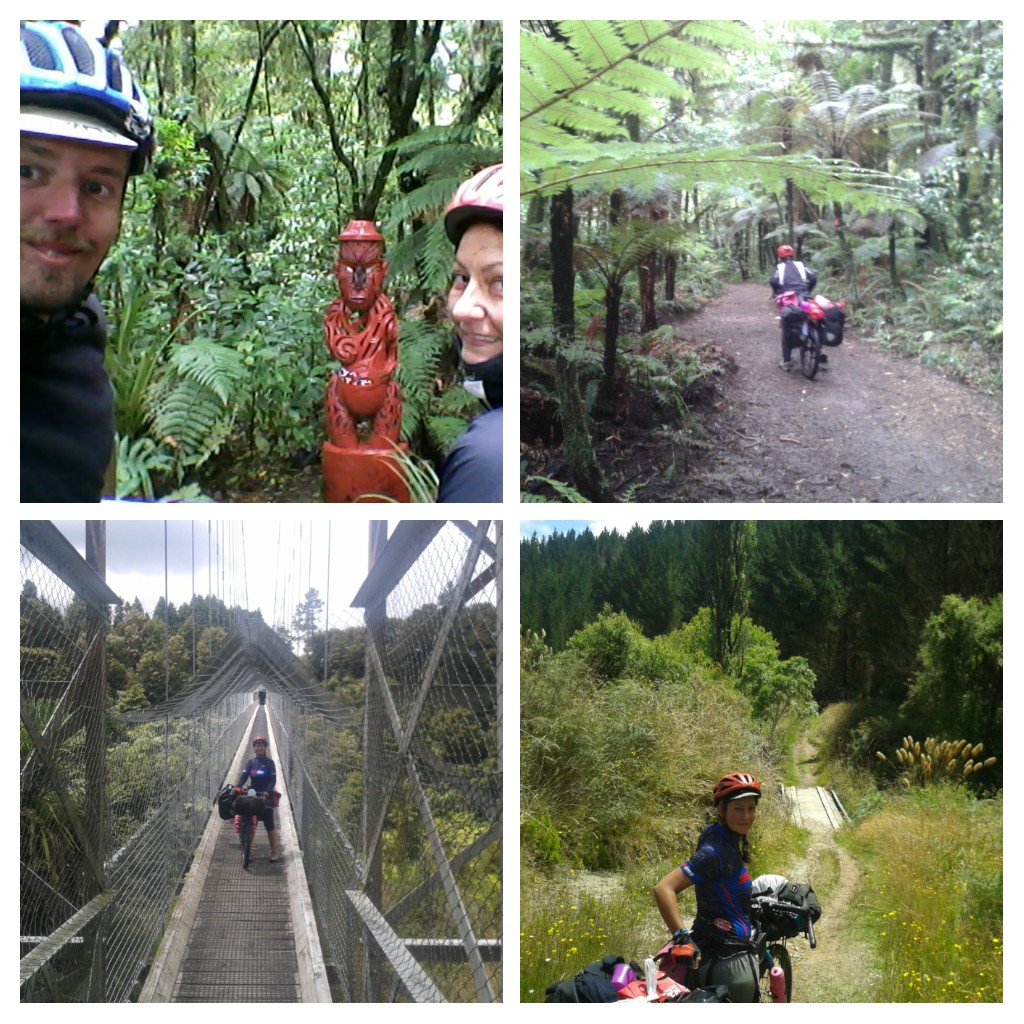 20170127_123102-COLLAGE