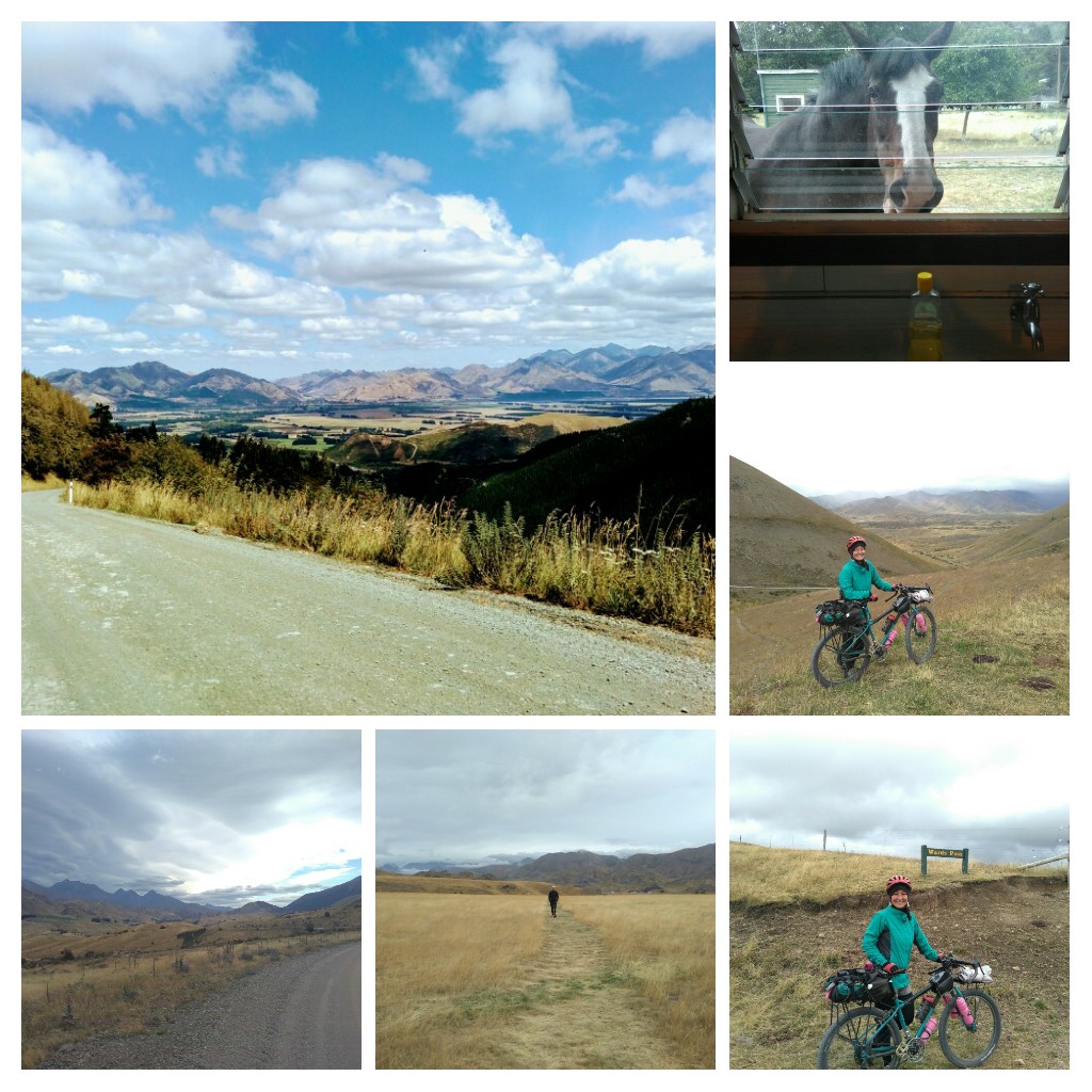 20170216_203035-COLLAGE