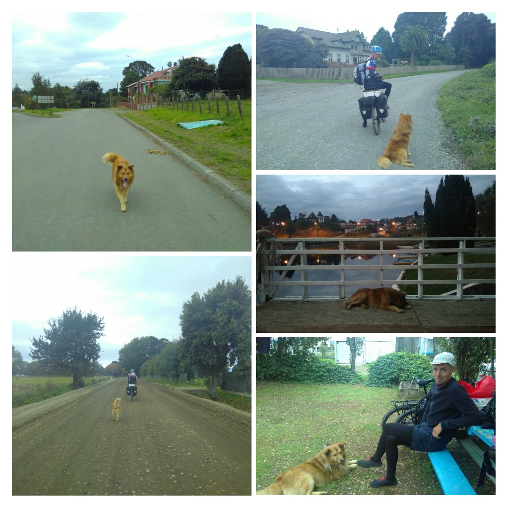 20170502_143942-COLLAGE