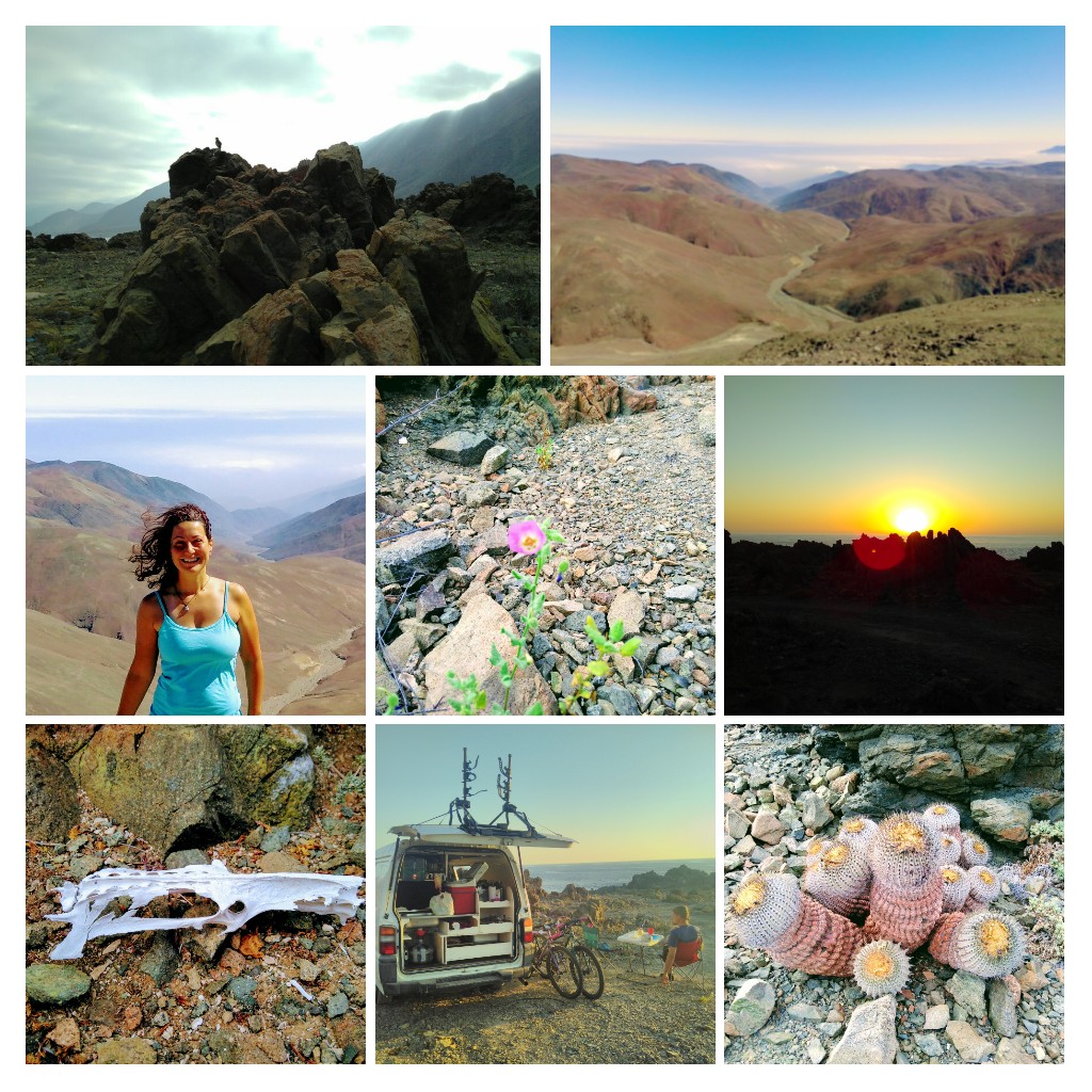 20170502_144117-COLLAGE