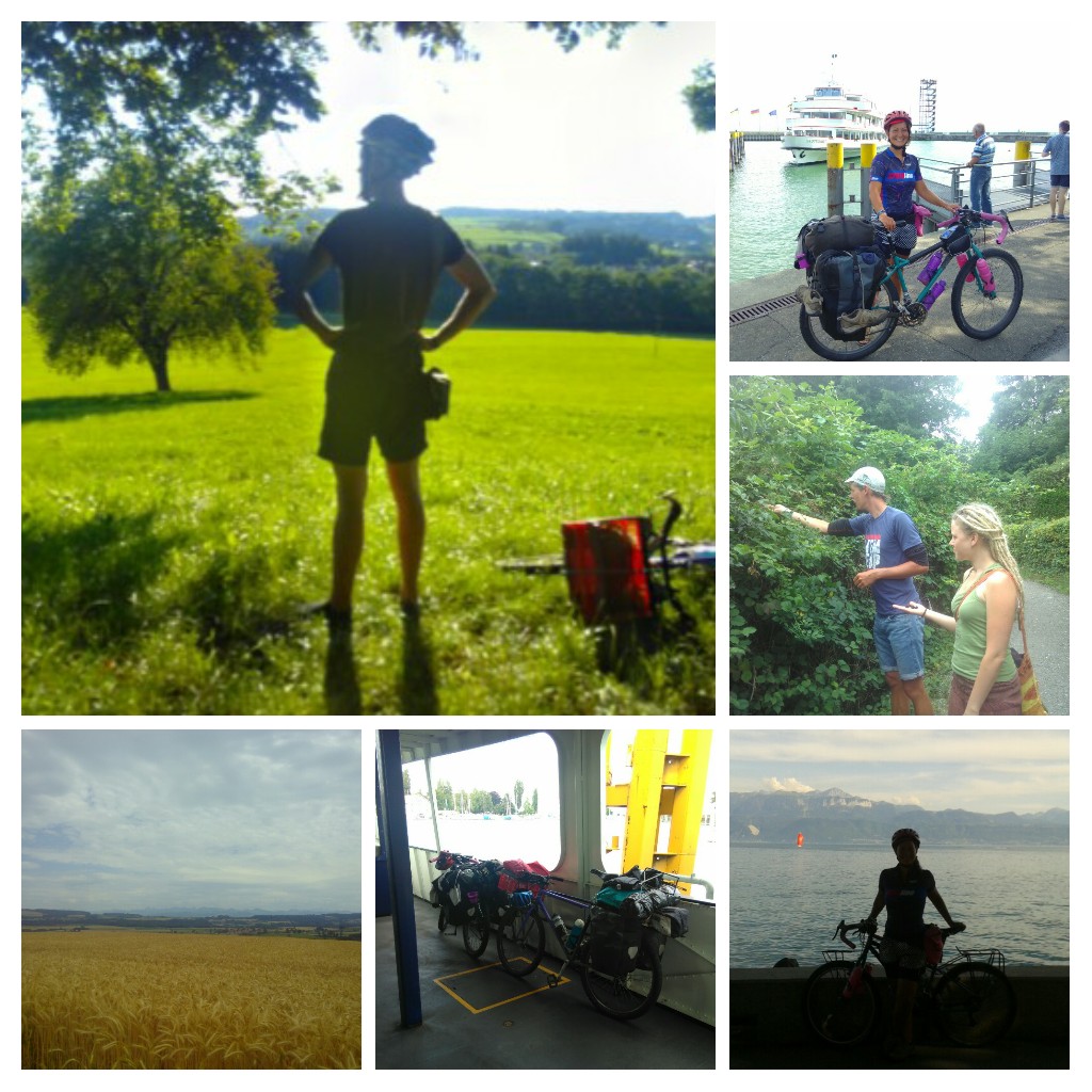 20170728_195209-COLLAGE